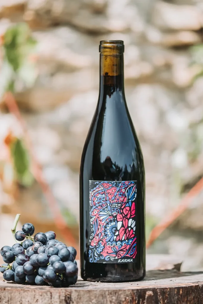 Bouteille de Karma Noir